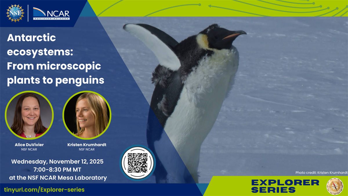 a penguin lifting it's arms up